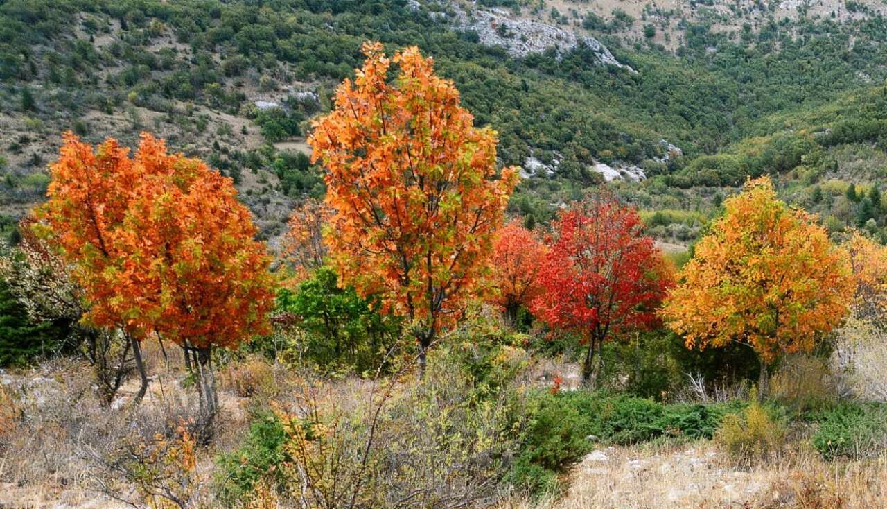 Konya’da doğa renk değiştirdi! Görenleri kendine hayran bırakıyor 2